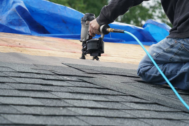 Best Rubber Roofing (EPDM, TPO)  in Paris, MO